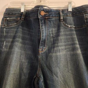 William Rast Jeans by Justin Timberlake 16 Plus